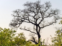 Park Krugera